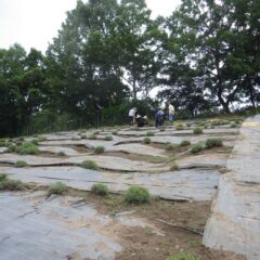 この畑の収穫も終了です