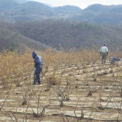 順調に作業は進んでいます