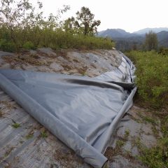 防草シートを張り直します