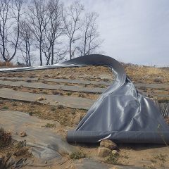 今日も風が強く防草シートが風に煽られて舞い上がってしまい四苦八苦の作業です