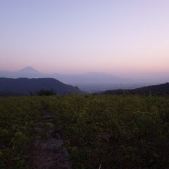 作業が終わると夕映えに富士山が浮かび上がりました