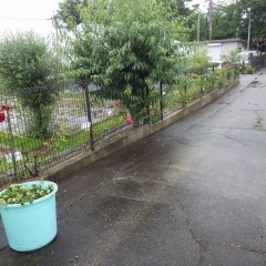 何とか雨に降られずに済みました