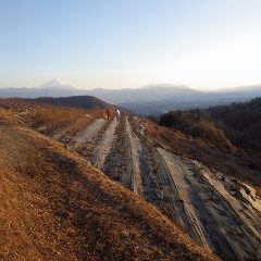 ローズの剪定作業は順調に進んでいます