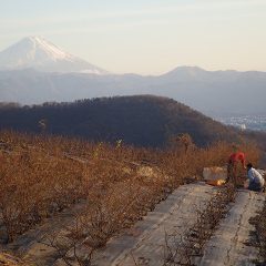 日が傾き始めると気温は一気に下がります