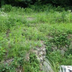 石垣も見えないほど草に覆われてしまいました