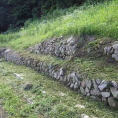 立派な石垣が現れました