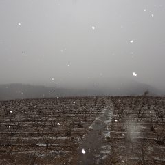 予定よりも早く3時過ぎには雪が降りだしました