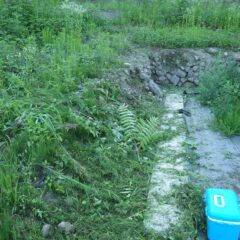 取り急ぎヨモギ畑周囲の草刈り作業をしました