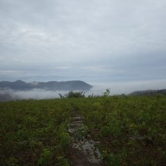 今朝は濃霧で甲府の街は霧にすっぽりと包まれています