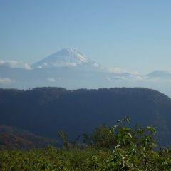 お昼前には晴れて富士山が顔を出し雪も急速に解けて行き