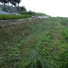 無事に通路の草刈り作業終了
