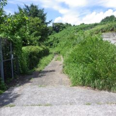 ラベンダー畑に続く農道はまた草だらけ