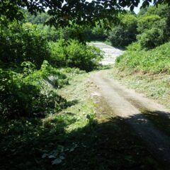 取り急ぎ農道の両脇だけ雑草を刈りました
