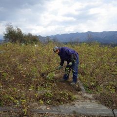 寒風が吹く中での厳しい作業です