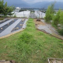 本日の草刈り作業終了