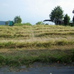 この畑の草刈り作業終了
