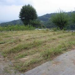 何とか草刈り作業終了