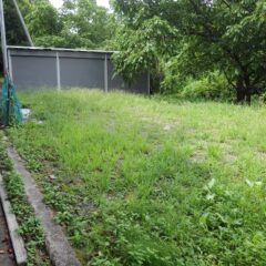カモマイル・ジャーマン畑へ行く前にトラクター倉庫前の草刈り作業