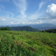 久し振りに頭を出した富士山