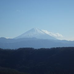 農場の新年は富士山がお出迎えしてくれました