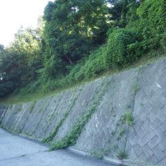 本日の草刈り作業はここまでで終了
