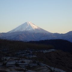 農場に陽が沈んでゆきました