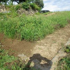 サウナの中で除草作業をしているようです