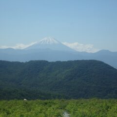 初夏の陽気