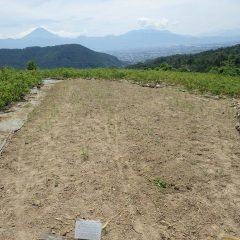 焼けるような暑さの中で綺麗に片付けました