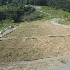 同じ様に除草作業をしました