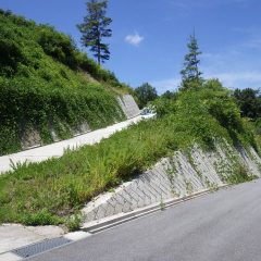 農場の除草作業も大切ですが農場に続く農道の周囲も草ダラケになってしまいました