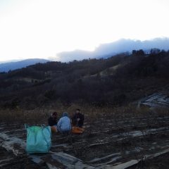 太陽の有り難さを実感する瞬間です