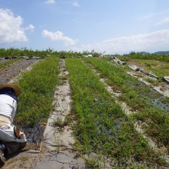 汗だくの一日が始まります