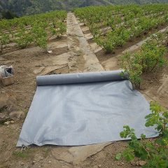 新しい防草シートを張ります