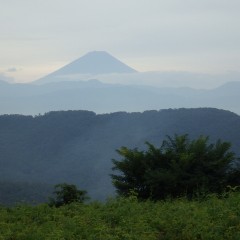 久し振りに富士山の姿を拝むことが出来ました