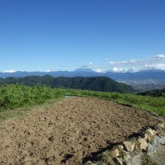 この状態がいつまで続くやら・・・