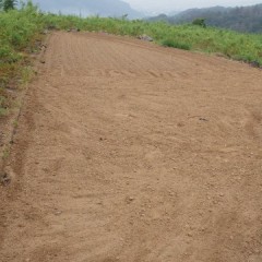 種蒔きをする為に整地しました