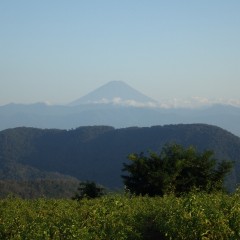 秋空に富士山