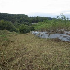 こちらの面も緩衝帯が確保出来ました