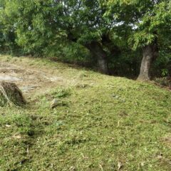 草刈り作業終了