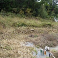 ヨモギ畑の草刈り作業の続き