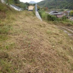土手の上まで草を刈りました