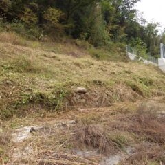 草刈り作業終了