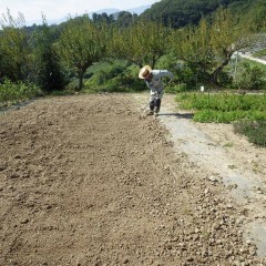 朝晩は急に寒くなり急いで整地しました