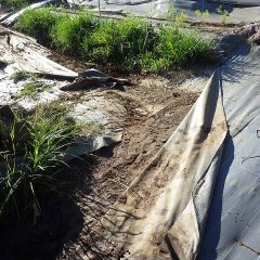 土で埋まった排水溝を掘って雨水が流れるようにします