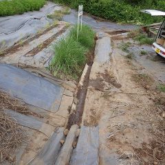 これで台風前の雨対策終了