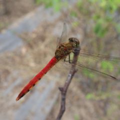 秋の気配