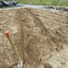 雨で土が流されない様に傾斜に沿って畝を作ります