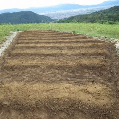 培養土に混ぜた種を蒔き終わりました