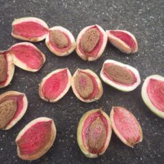 熟した実は甘い桃の様な香りがしますが残念ながら食べられません